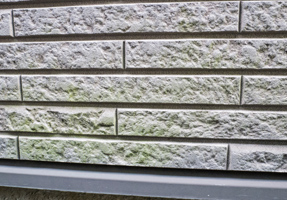 コケ、カビ、色あせ